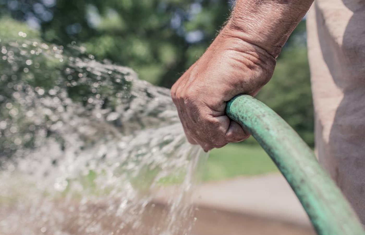 A gardener watering plants with a hose